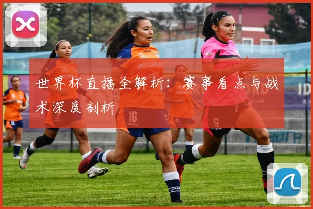 世界杯直播全解析：赛事看点与战术深度剖析