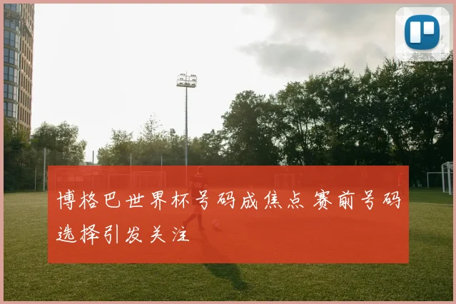 博格巴世界杯号码成焦点 赛前号码选择引发关注