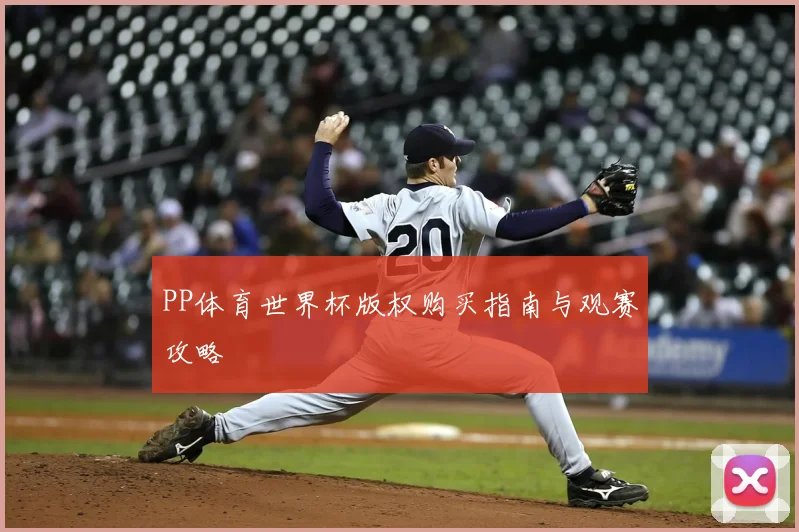 PP体育世界杯版权购买指南与观赛攻略