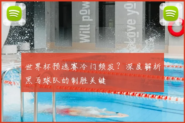世界杯预选赛冷门频发?深度解析黑马球队的制胜关键