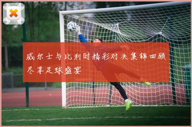 威尔士与比利时精彩对决集锦回顾尽享足球盛宴