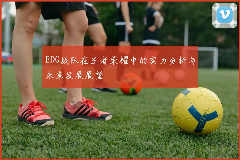 EDG战队在王者荣耀中的实力分析与未来发展展望