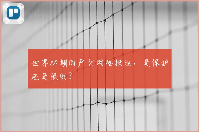 世界杯期间严打网络投注，是保护还是限制？