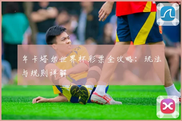 年卡塔尔世界杯彩票全攻略：玩法与规则详解