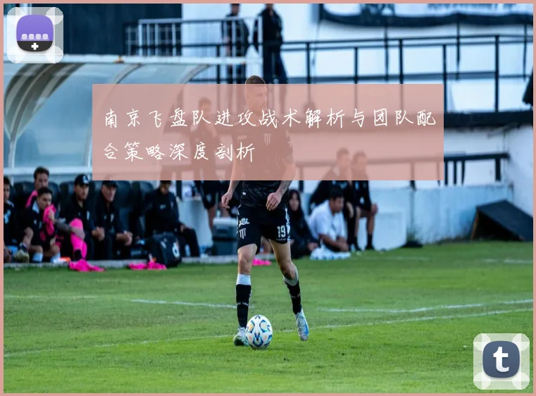 南京飞盘队进攻战术解析与团队配合策略深度剖析