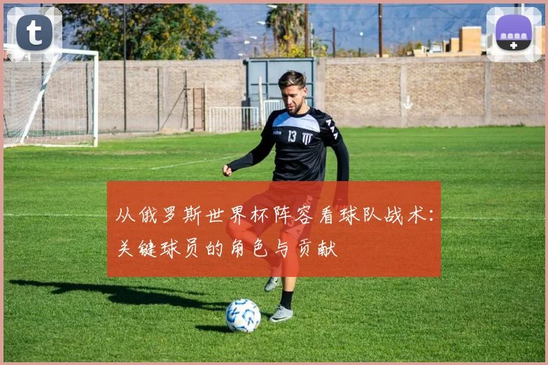 从俄罗斯世界杯阵容看球队战术：关键球员的角色与贡献