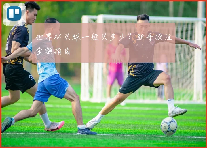 世界杯买球一般买多少？新手投注金额指南